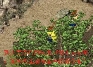 新开变态传奇私服sf发布站攻略:如何快速刷装备并称霸全服? 新开变态传奇私服sf发布站攻略:如何快速刷装备并称霸全服?