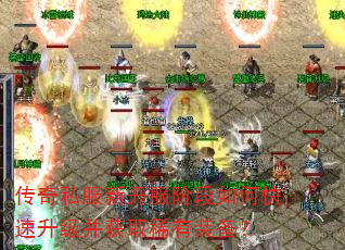 传奇私服新开服阶段如何快速升级并获取稀有装备? 传奇私服新开服阶段如何快速升级并获取稀有装备?