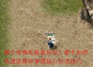 哪个传奇私服最好玩?新手如何快速选择并掌握核心玩法技巧 哪个传奇私服最好玩?新手如何快速选择并掌握核心玩法技巧