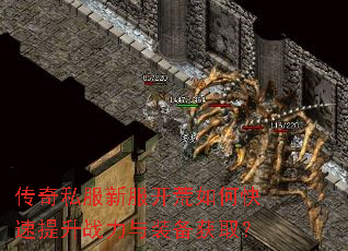 ����˽���·�������ο�������ս����װ����ȡ��