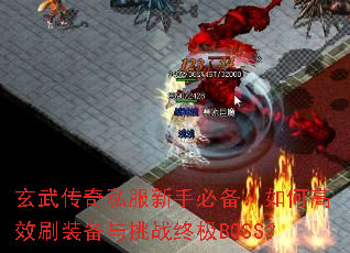 ���䴫��˽�����ֱر�����θ�Чˢװ������ս�ռ�BOSS��