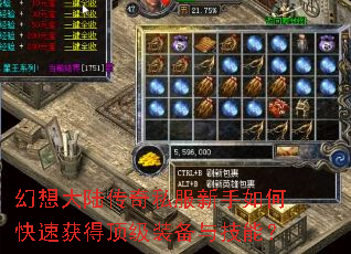 �����½����˽��������ο��ٻ�ö���װ���뼼�ܣ�