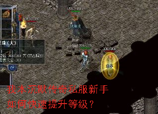 我本沉默传奇私服新手如何快速提升等级? 我本沉默传奇私服新手如何快速提升等级?