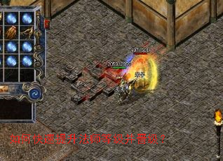 ��ο���������ʦ�ȼ���������