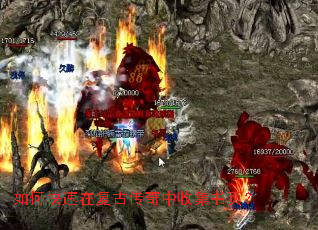 ��ο����ڸ��Ŵ������ռ���ҳ��