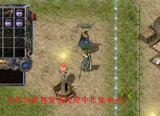 ��ο����ڸ��Ŵ������ռ���ҳ��