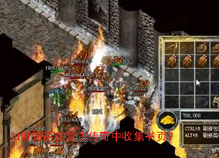 ��ο����ڸ��Ŵ������ռ���ҳ��