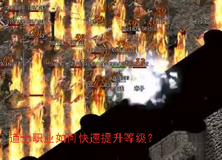 ��ʿְҵ��ο��������ȼ���