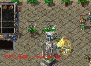 ����ְҵʵ������ۺ�������