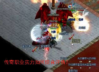 ����ְҵʵ������ۺ�������