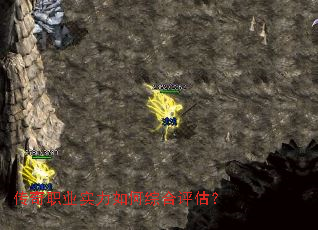 ����ְҵʵ������ۺ�������