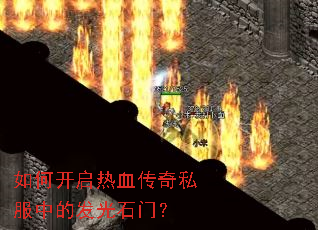 ��ο�����Ѫ����˽���еķ���ʯ�ţ�