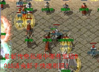 ���´���˽������Щ�ͼ�BOSS�ʺ����ֿ���ˢȡ��