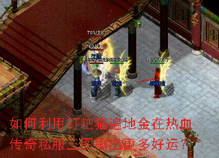 ������ö���è��ؽ�����Ѫ����˽����ͼˢ��������ˣ�