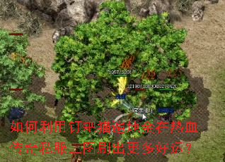 ������ö���è��ؽ�����Ѫ����˽����ͼˢ��������ˣ�