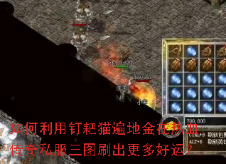 ������ö���è��ؽ�����Ѫ����˽����ͼˢ��������ˣ�