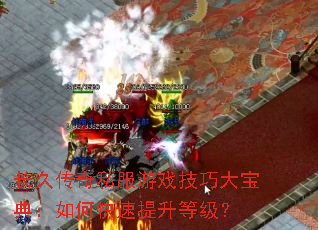 ���ô���˽����Ϸ���ɴ󱦵䣺��ο��������ȼ���