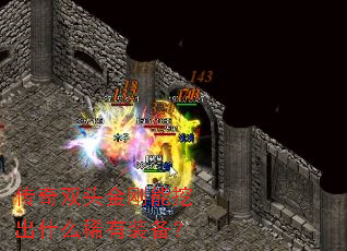 ����˫ͷ������ڳ�ʲôϡ��װ����