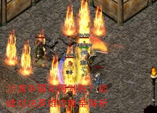 ɳ�����������ʤ���۷�Ծ�Ӣ�۹���ȫ����