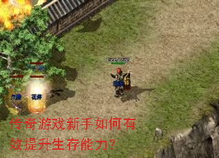 传奇游戏新手如何有效提升生存能力? 传奇游戏新手如何有效提升生存能力?