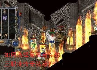 ���ѡ�����ʺ������ְҵ����˽����