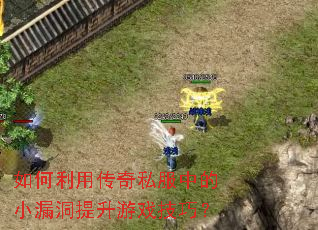 ������ô���˽���е�С©��������Ϸ���ɣ�