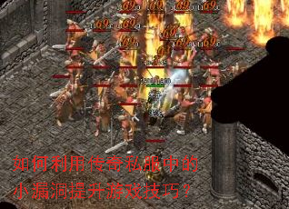 ������ô���˽���е�С©��������Ϸ���ɣ�