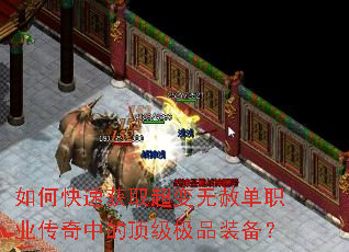 ��ο��ٻ�ȡ�������ⵥְҵ�����еĶ�����Ʒװ����