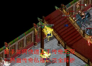 ������ο������ִ�����˫����Ѫ����˽���淨ȫ����