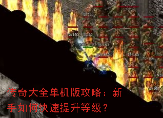 �����ȫ�����湥�ԣ�������ο��������ȼ���