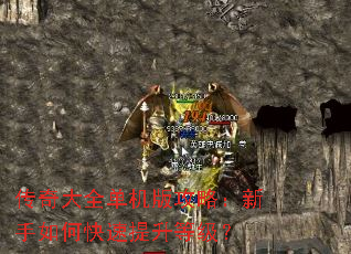 �����ȫ�����湥�ԣ�������ο��������ȼ���