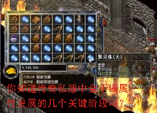 ��֪������˽���н��������Է�չ�ļ����ؼ��׶���