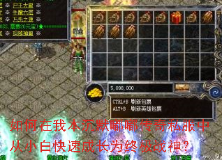 ������ұ���Ĭ�ུ���˽���д�С�׿��ٳɳ�Ϊ�ռ�ս��