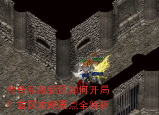 ����˽��������ο��֣���������Ҫ��ȫ����