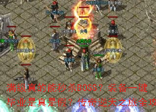 �����������ɱBOSS��װ��һ����ҵ�����Ǽ٣���������֮��ȫ����