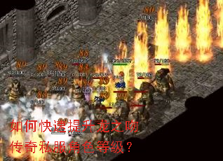 ��ο���������֮�Ǵ���˽����ɫ�ȼ���