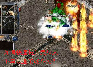 ��ο��������������µ�ְҵ��ս������