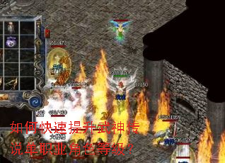 ��ο�����������˵��ְҵ��ɫ�ȼ���