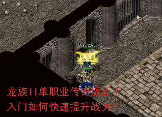 ����II��ְҵ���������������ο�������ս����