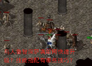 鸟人鲁智深萨满如何快速升级?技能搭配有哪些技巧? 鸟人鲁智深萨满如何快速升级?技能搭配有哪些技巧?