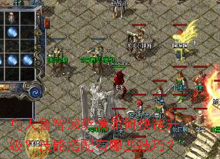 鸟人鲁智深萨满如何快速升级?技能搭配有哪些技巧? 鸟人鲁智深萨满如何快速升级?技能搭配有哪些技巧?