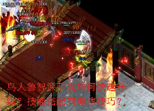 鸟人鲁智深萨满如何快速升级?技能搭配有哪些技巧? 鸟人鲁智深萨满如何快速升级?技能搭配有哪些技巧?