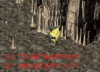 鸟人鲁智深萨满如何快速升级?技能搭配有哪些技巧? 鸟人鲁智深萨满如何快速升级?技能搭配有哪些技巧?